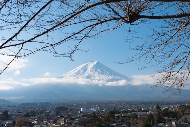 富士山（富士山）