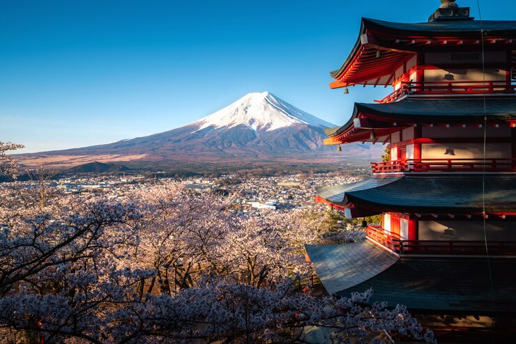 富士吉田、日本忠霊塔と富士山日の出の間に桜が満開の春の富士山。旅行および休暇の概念。