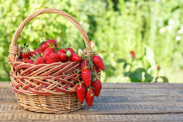 Photo full basket with just picked fresh red ripe strawberries on wooden desks