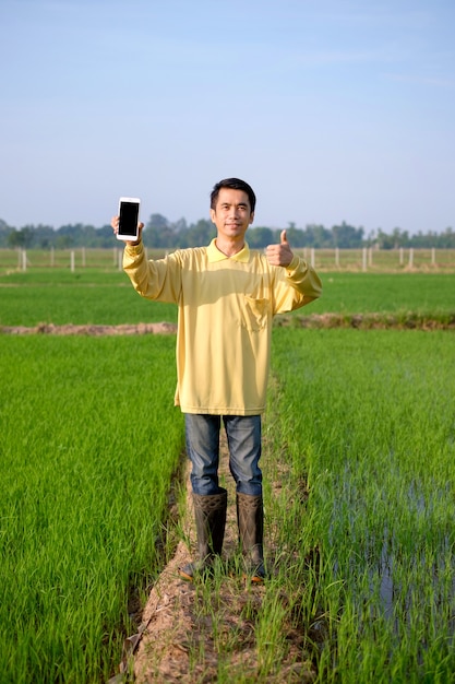 L'intero corpo dell'agricoltore asiatico indossa una maglietta gialla con in mano lo smartphone e il pollice in una fattoria di riso