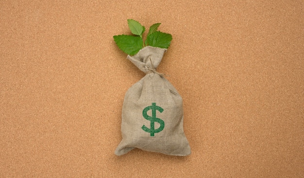 フルキャンバスバッグと茶色のコルクの表面にある植物の小枝。収入の成長の概念、貯蓄、長期計画
