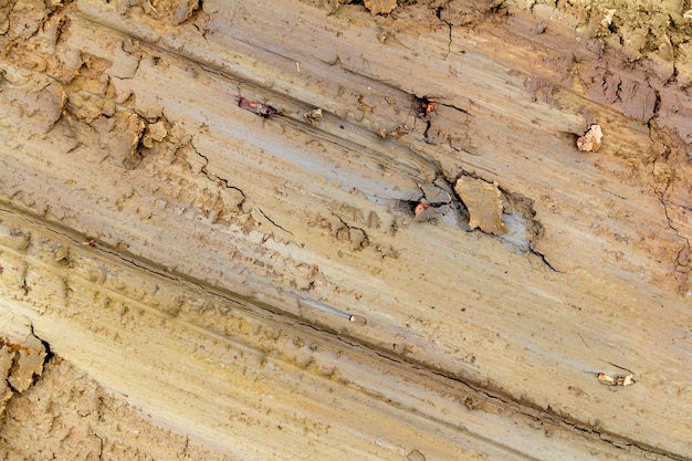 full frame abstract soil structure