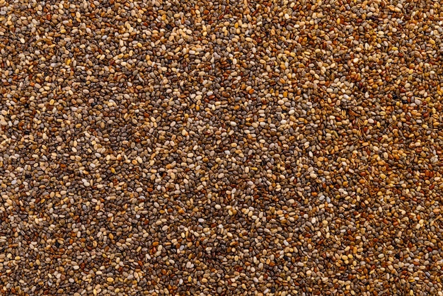 Full frame of chia seed.