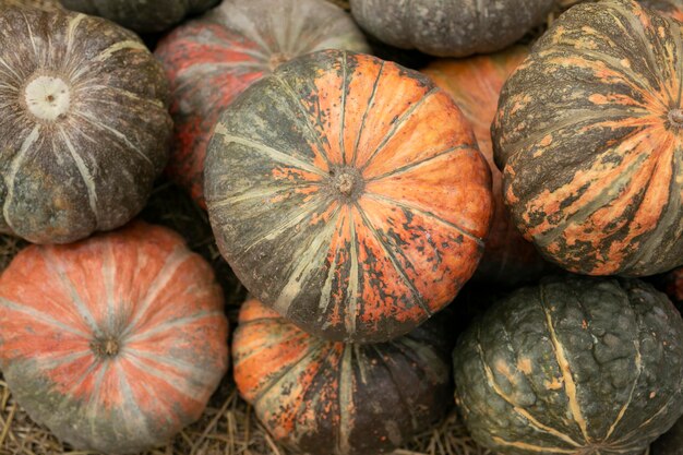 Full frame closeup shot of pumpkins at market