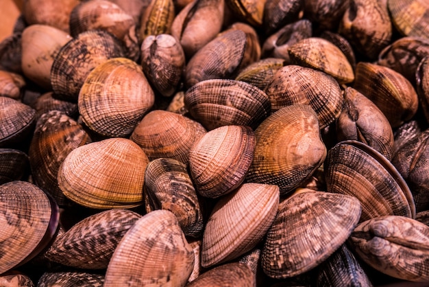 Full frame of cockles in a seafood market.