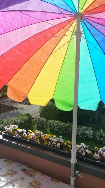 Full frame of colorful market stall