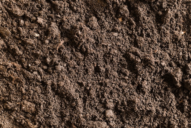 Full frame of fertile soil