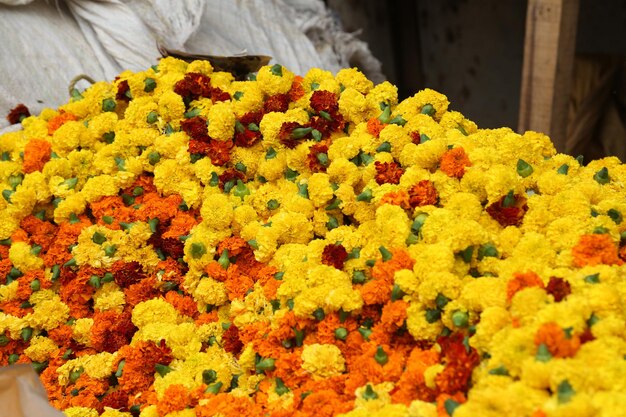 Full frame of flowers