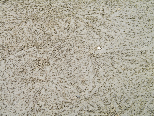 Foto il telaio è pieno di sabbia granulosa.