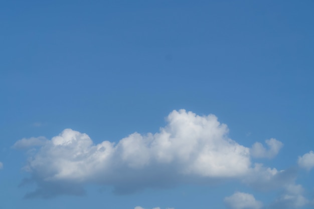 雨の後の明るい空の低角度のビューの完全なフレーム。