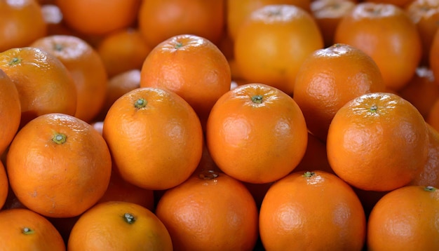 写真 オレンジフルーツの背景のフレーム