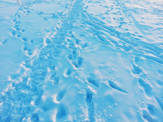 写真 岸に水が満たされたフレーム