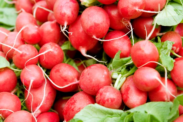 full frame radish background