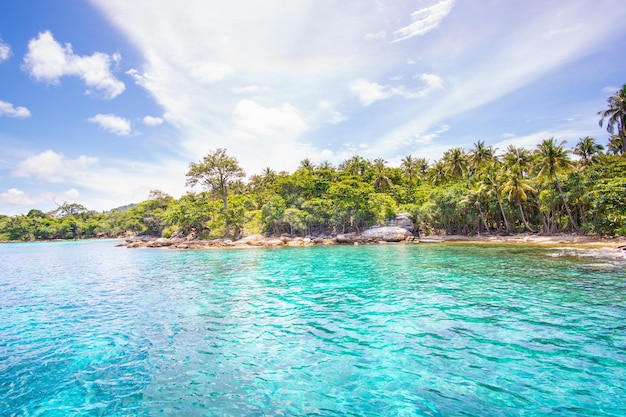 Full frame sea forest Island clear cloud coconut tree blue background