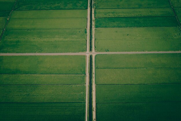 Photo full frame shot of agricultural field