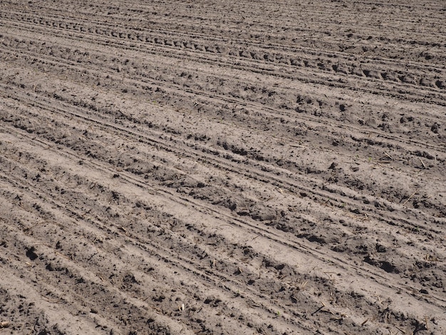 Foto ripresa completa di un campo agricolo