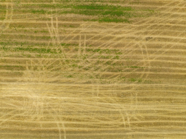 Full frame shot of agricultural field