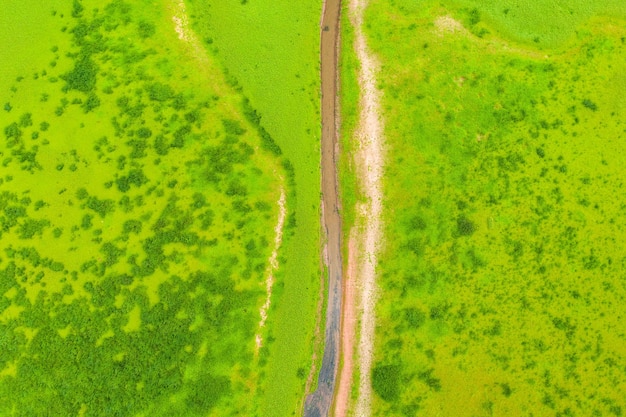 Full frame shot of agricultural field