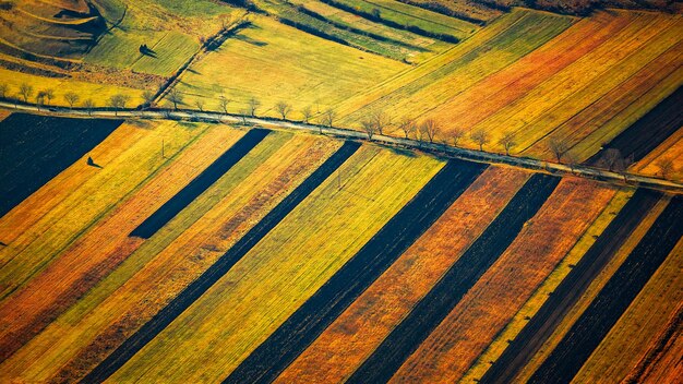 Foto fotografia completa di un campo agricolo