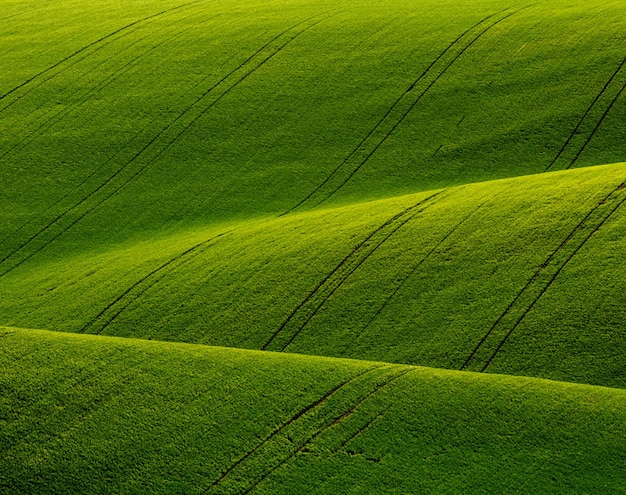 Photo full frame shot of agricultural field