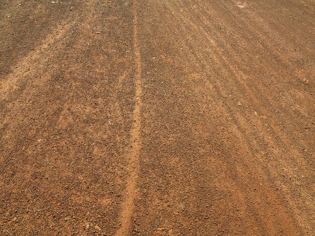 Full frame shot of agricultural field