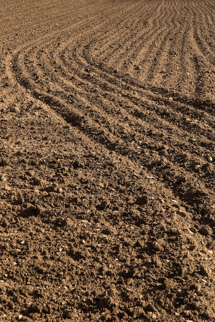 Foto fotografia completa di un campo agricolo