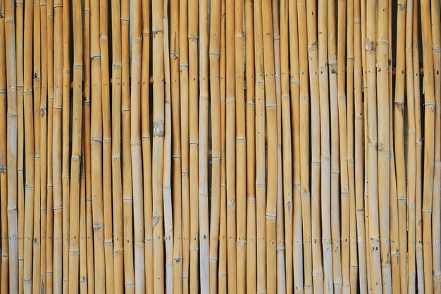 Full frame shot of bamboo on wall