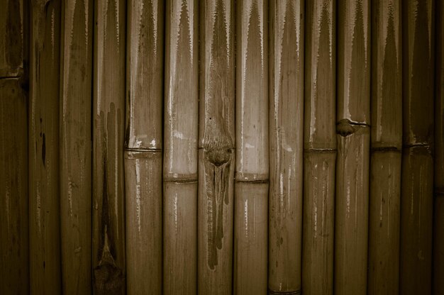 Fotografia completa di bambù su una recinzione di legno
