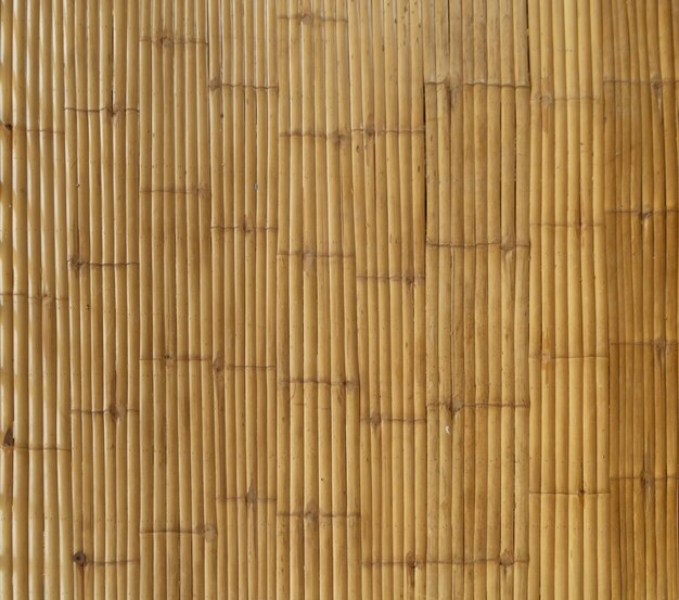 Photo full frame shot of bamboo