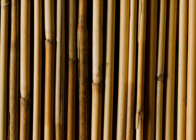 Photo full frame shot of bamboo