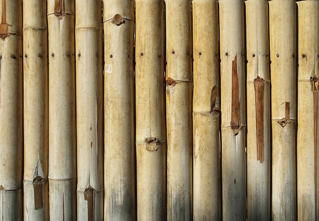 Full frame shot of bamboo