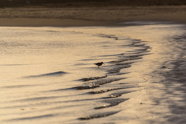 Full frame shot of beach