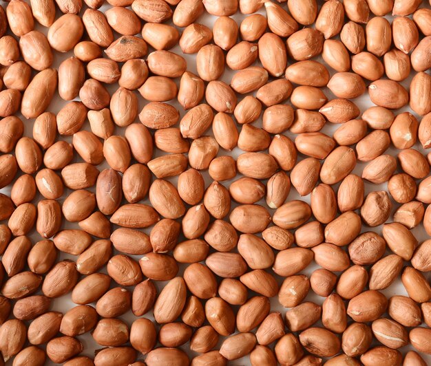 Photo full frame shot of beans