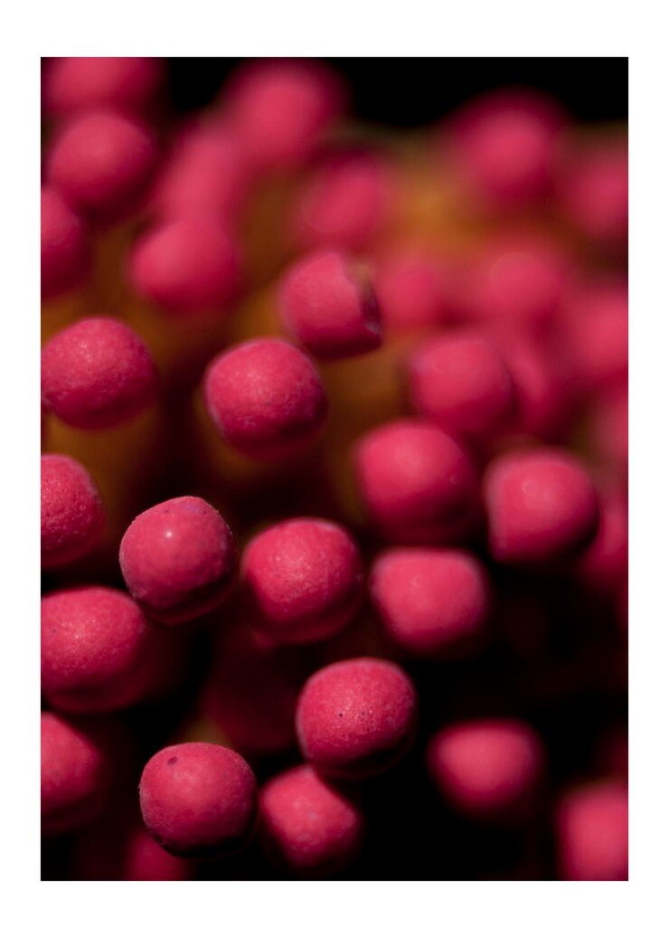 Photo full frame shot of berries