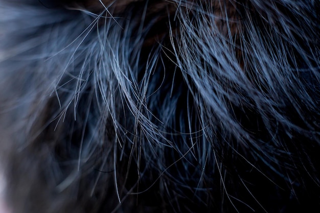 Photo full frame shot of black hair