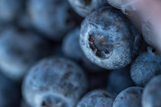 Full frame shot of blueberries