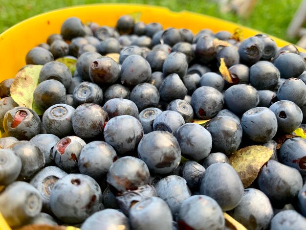 Full frame shot of blueberries