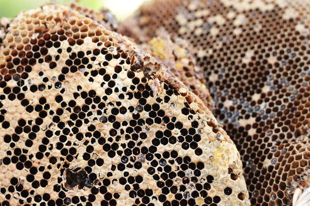 Photo full frame shot of bread