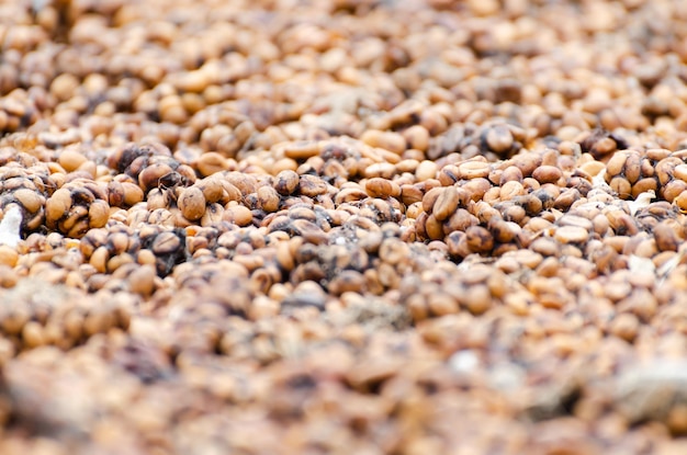 Foto scatto completo di pane