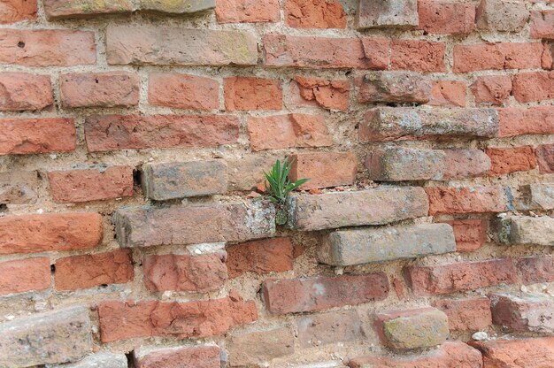 Photo full frame shot of brick wall