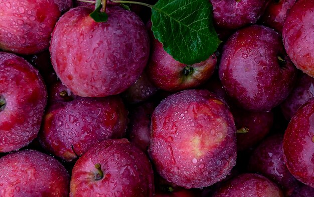 A full-frame shot of bright red apples in raindrops stylish bright sensual sexuality in nature