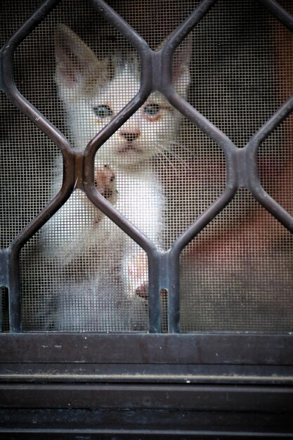 Photo full frame shot of chainlink fence