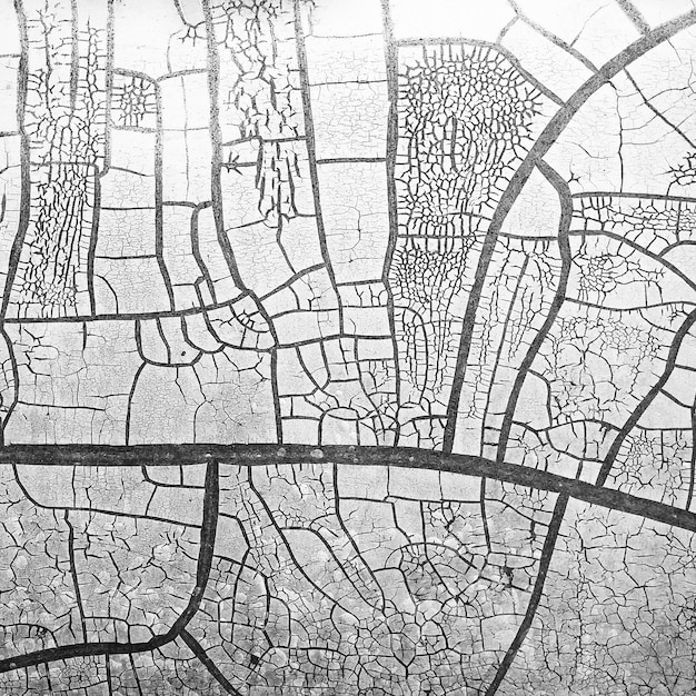 Fotografia completa della mappa della città