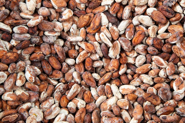 Full frame shot of cocoa seeds