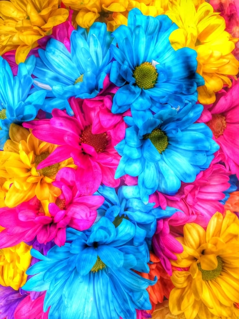 Photo full frame shot of colorful flowers