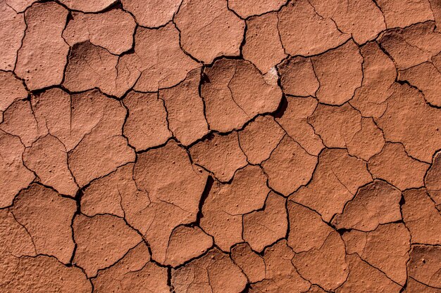 Foto una ripresa completa della terra fessurata.