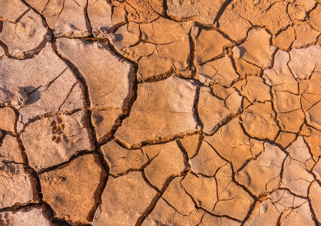 Photo full frame shot of cracked land