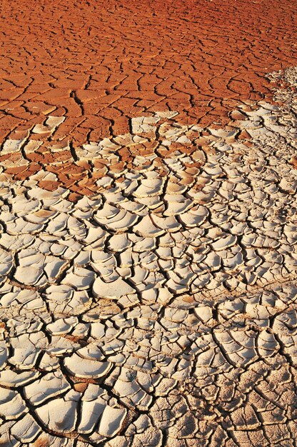 Foto fotografia completa del terreno fessurato