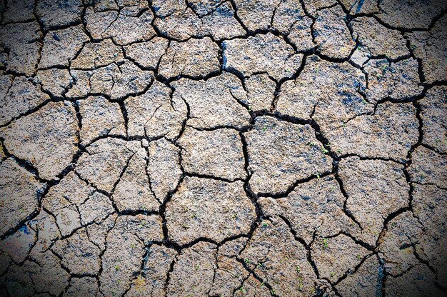 Full frame shot of cracked land