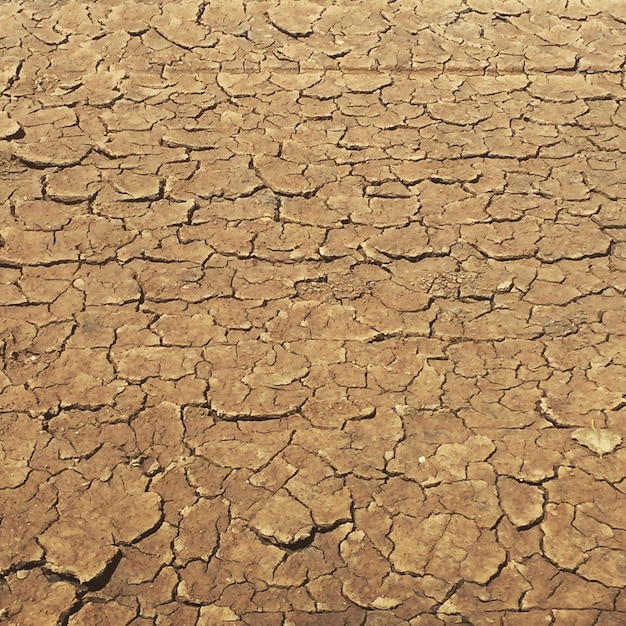 Full frame shot of cracked wall